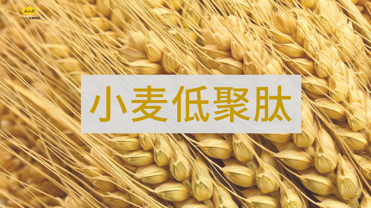 微信圖片_20201118165814.jpg