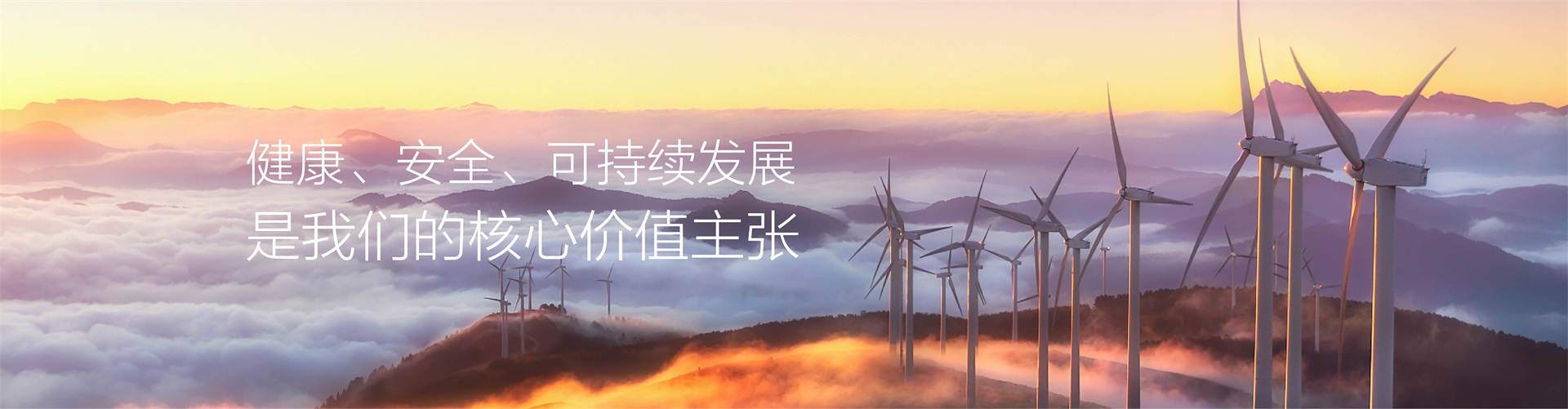 企業(yè)愿景